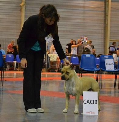 du Palais Des Anges - Show Douai 