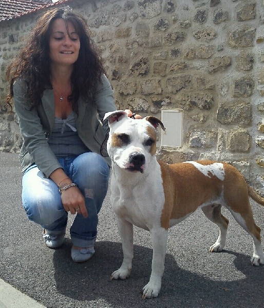 Aurel lolly du Palais Des Anges